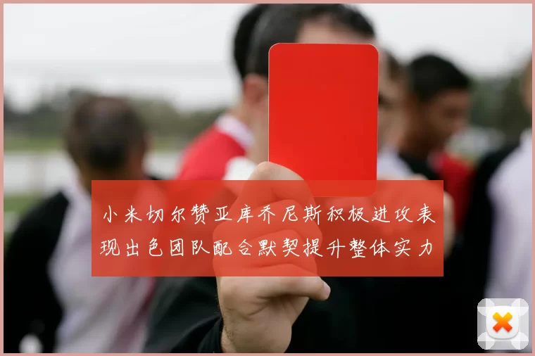 小米切尔赞亚库乔尼斯积极进攻表现出色团队配合默契提升整体实力